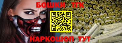 шишки Тара