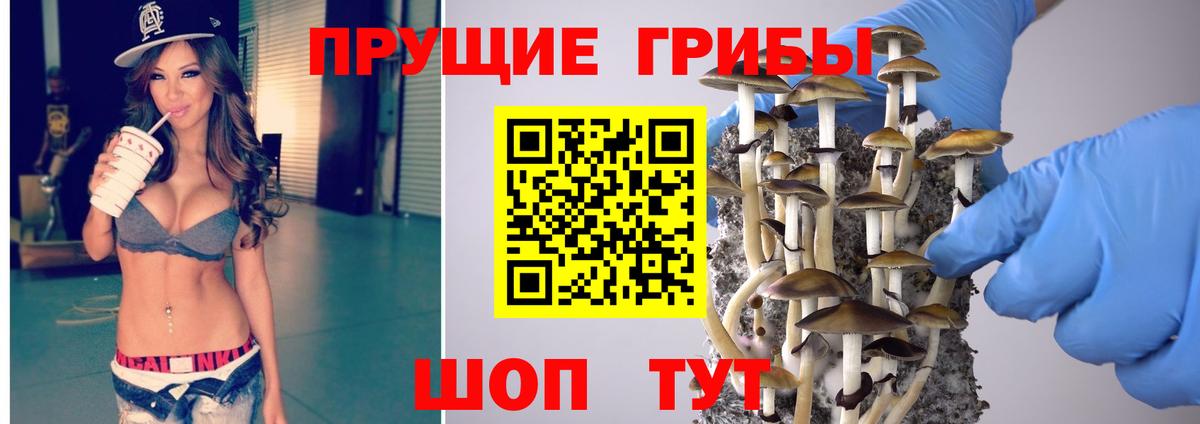 Псилоцибиновые грибы ЛСД  Вход с VPN  Балашиха 
